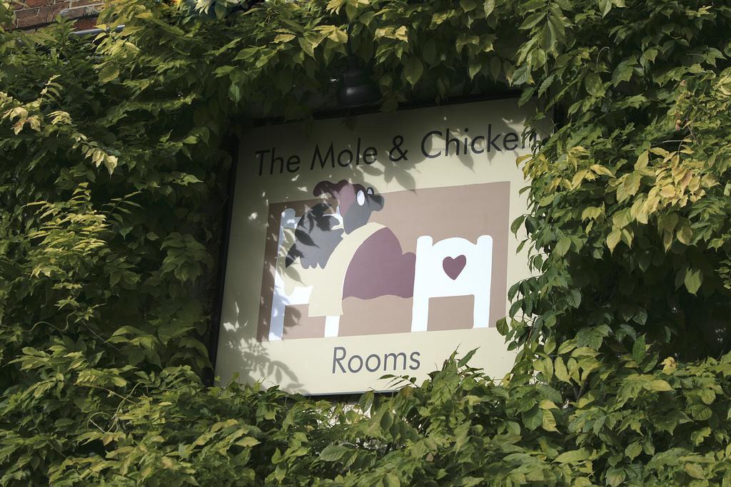 The Mole And Chicken Hotel Long Crendon Kamer foto